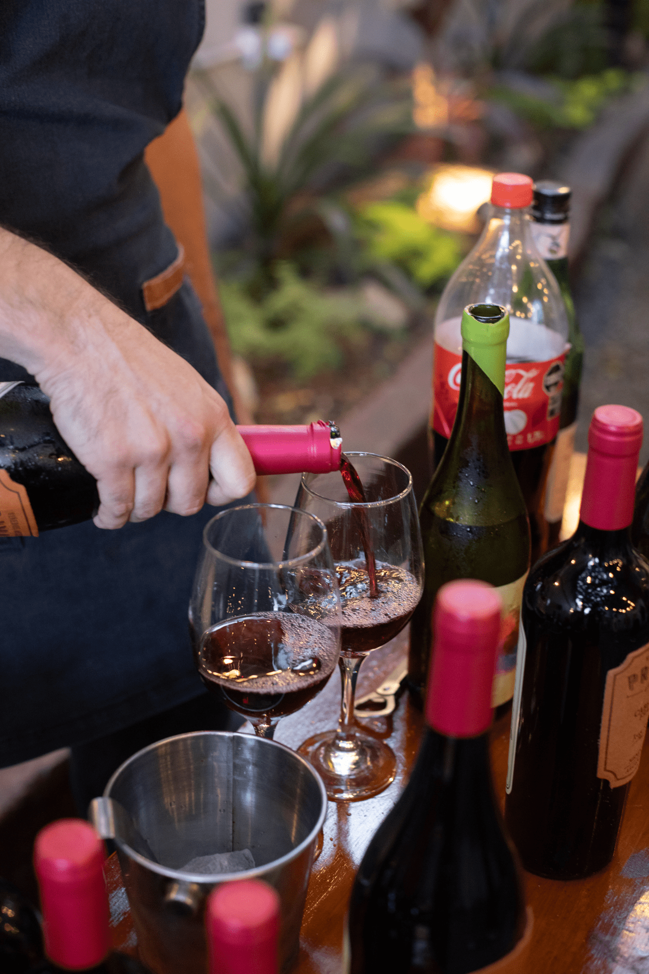 Experience - Wine Pairing